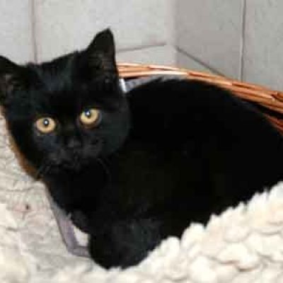 3aae720d3cad66c3d1546bc259716129