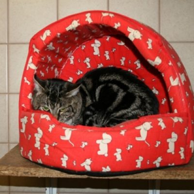 3cfd4ff673c93395fd580159a9616109