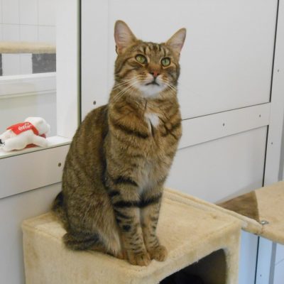 3d0f1112c2692f706ed17423b08f3167