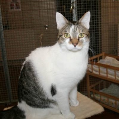 42ef3937b979091cf46e2f58109b31fa