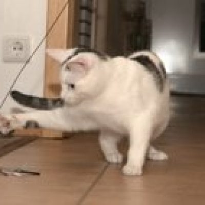 45a827496a0a9e507735bf02f1278469