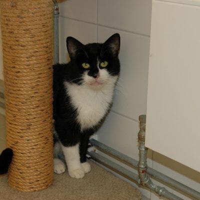 46c91f3f35e88c8e7aefabe2bbfbbaef