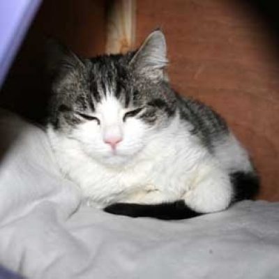 46e21e7be60567c4b9b2ca9018587f88