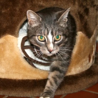 474d52ab97f559cf97024390d286c9cc