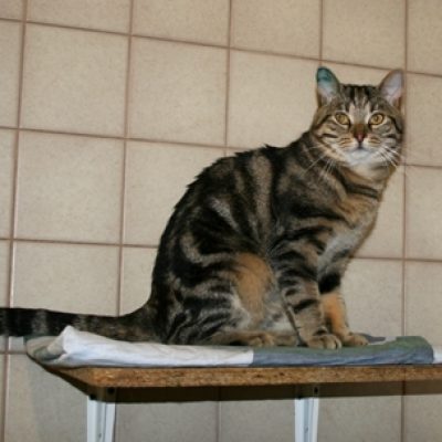 47ab8f4b2c91e37bf1f1a0e143bfa7c1