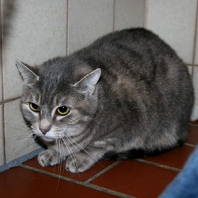 4871edc72c8925d024a55a86241dbd48