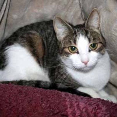 488ff8b5b009d002d059b5e5265e9f96