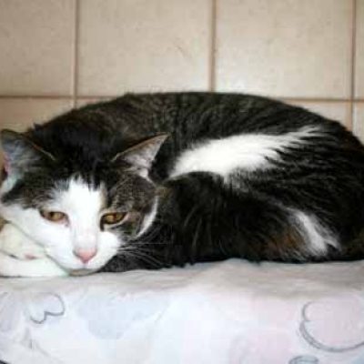 4efb64240e9cfdb1e56da0df8b7be203