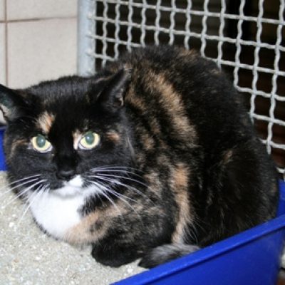 4f443f7a054da84f8d510ac12abc35f4