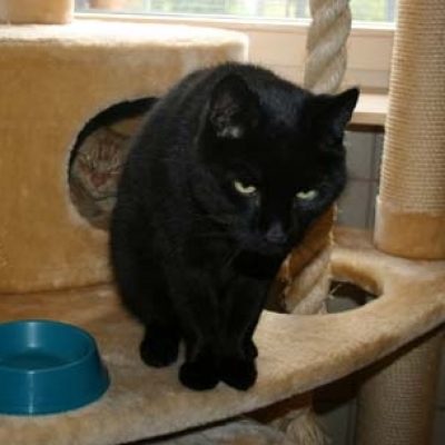 4fbf12f7fd2288d3f274c68fe16a94f2