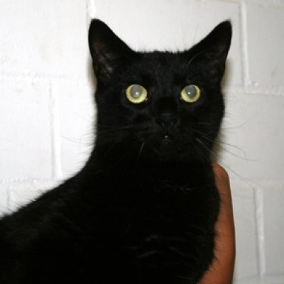 50653a943de6a353add8d4f20eb55662