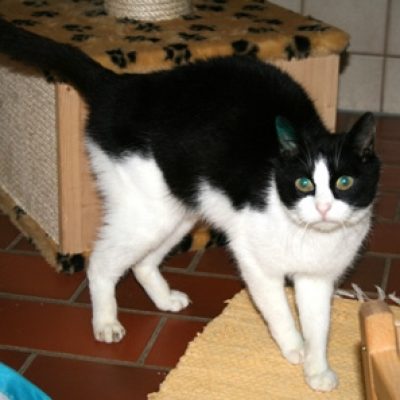 5098e75e57e36807c173cb7490b1b0d2