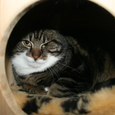 509990894612754a72fa5171d588a179