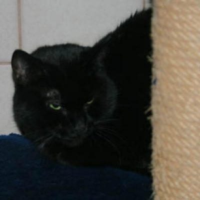 5104a1b2e1964d6decac501573adac6e