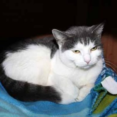 528b8eebeca881e9ab35bdfd4eb1e134