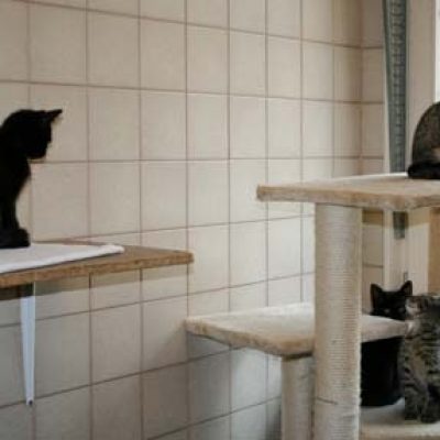 531120361ba53e7b27c00b3fd3134e91