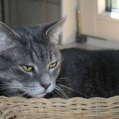 5360bd81e3f4504b4d564c120ab89c20