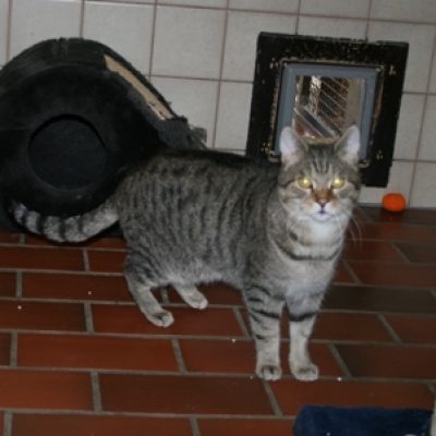 54f5be3ea3d707845e48b51427471fd9