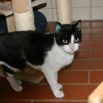 5622634ef28273566abb3f639e6e3780