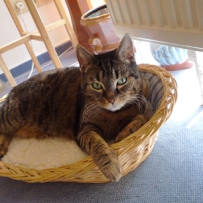 56ce69667669db80737dec7a457c2044