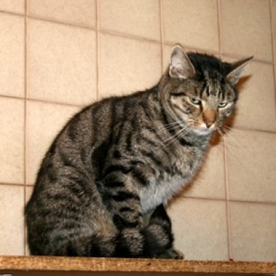 56fe5e3f55856c342379a88fbb06fdaf