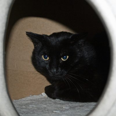 57730bf7a9bf93c0495a1f10b3667005