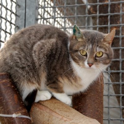 5937f741237693bc434dc4d961ec0148