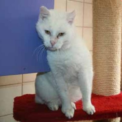 598b431dd52aecdb7af226f303ba1598