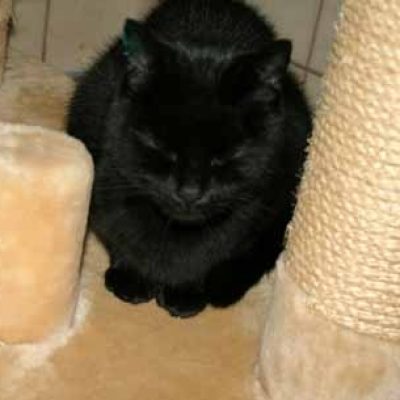 5e8ff3577911986902efa13d913976f2