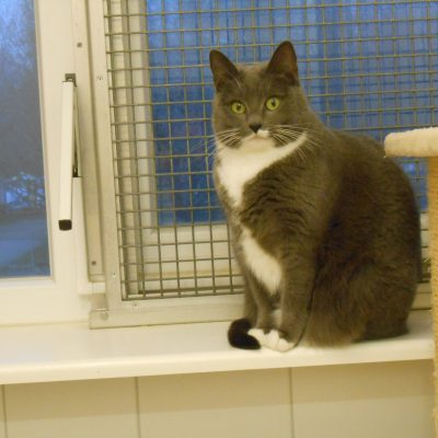 609126e1ac96e8a845f6e79e8e1fa14a