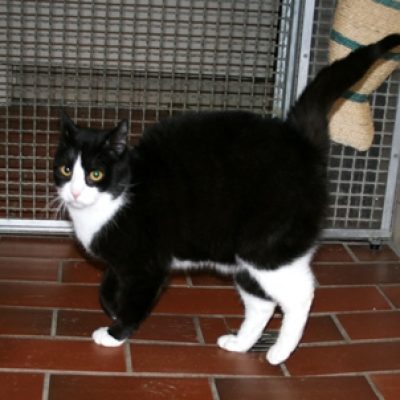 6292467f2a3fd1175b5c26b3750ab800