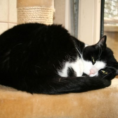 62ce28ec99c2fa1d4d37c00276d38905