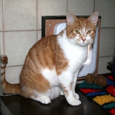 66a54350e94d9d93612885188af705a6