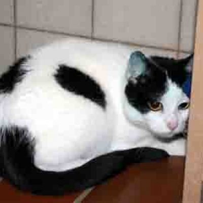 677482e376ddff1baa49981c1fb14240