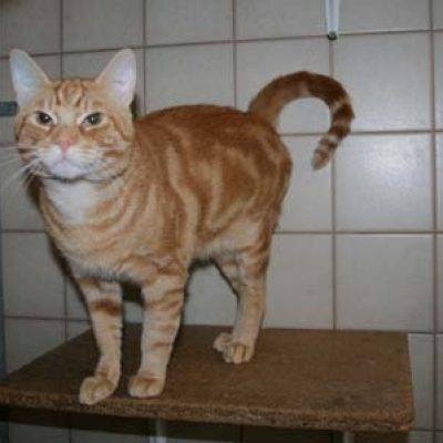 69e3c2c305f5aaa5651d53fb892f631f