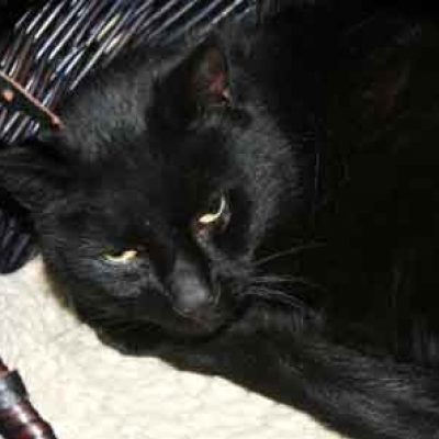 6c1875692ee284a3e70531dc4f845189