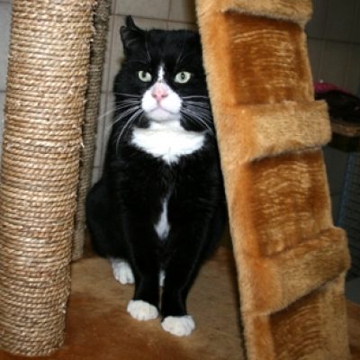 6c37daa18e07dfc2ae8aa5bc3672232b