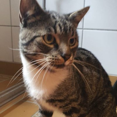 6d74868f1c9e58766ed0d2828f322815