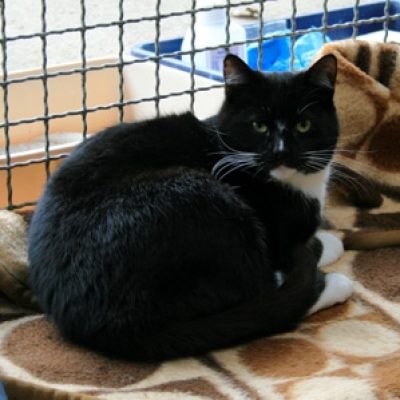 6e4b2528701707a3ed973fc804a3e209