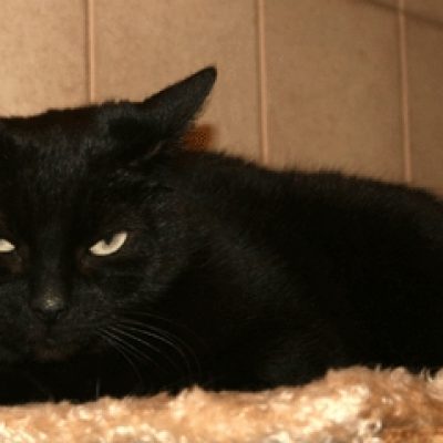 6f09fa9c4773d7976c7311cc7936300c