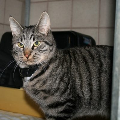 7124924f961cf64ed9d4240912ace279