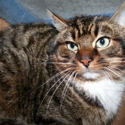 71f8a7b9dfbdfa4a4502ebd60f17d2b5