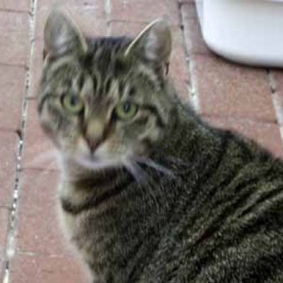 7557b15d39f0f4403460174b3a48b1fe