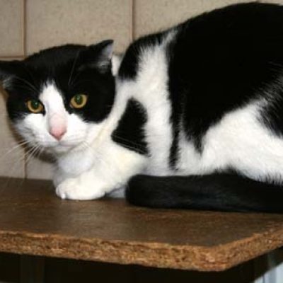 758a3389efb46e106c29158d84a48457