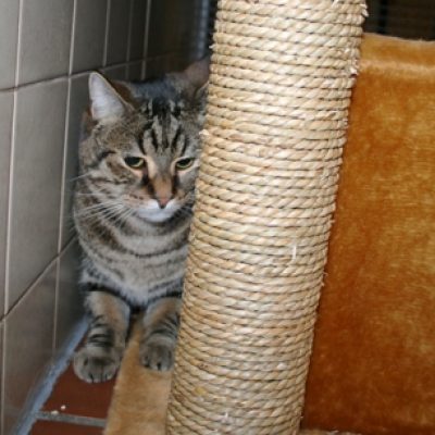 77535e3d475caea554658904633bd51e