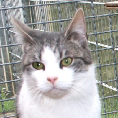 78212bc9a7fc82a36de7cedccbf6df51