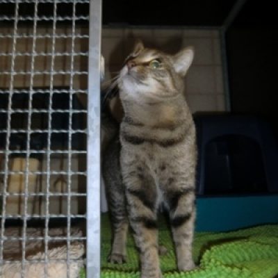 78468ad5288d433009367eeff5a5f3b3