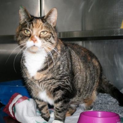 7a1f84e37f4e5fce0f7ca56b70c7e49a