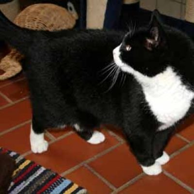 7a39d43acd423737f440a2b509dd494a