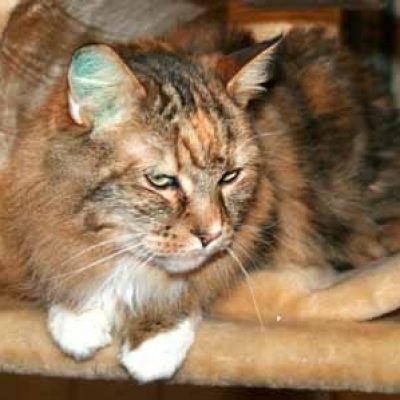 7abf53d37910228532f1b4478f170c08